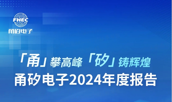 「甬」攀高峰，「矽」铸辉煌丨boyu电子2024年度报告